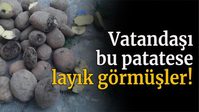 Vatandaşı bu patatese layık görmüşler!